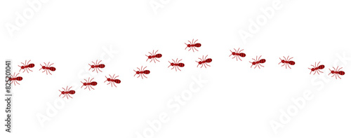 Red ants line 1 on a white background, vector illustration.
