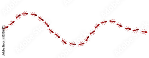 Red ants line 3 on a white background, vector illustration.