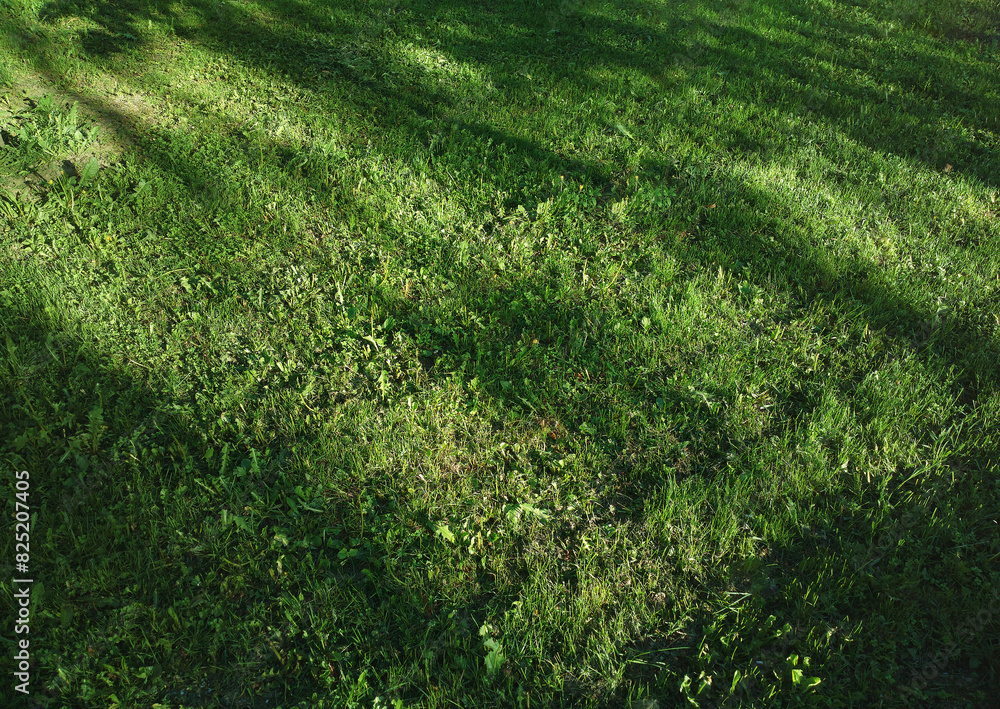 Diagonal grass lawn under the morning light background