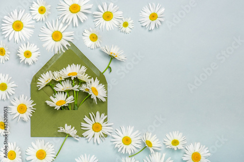 Invitation or greeting card mockup with green envelope and white daisy flowers.