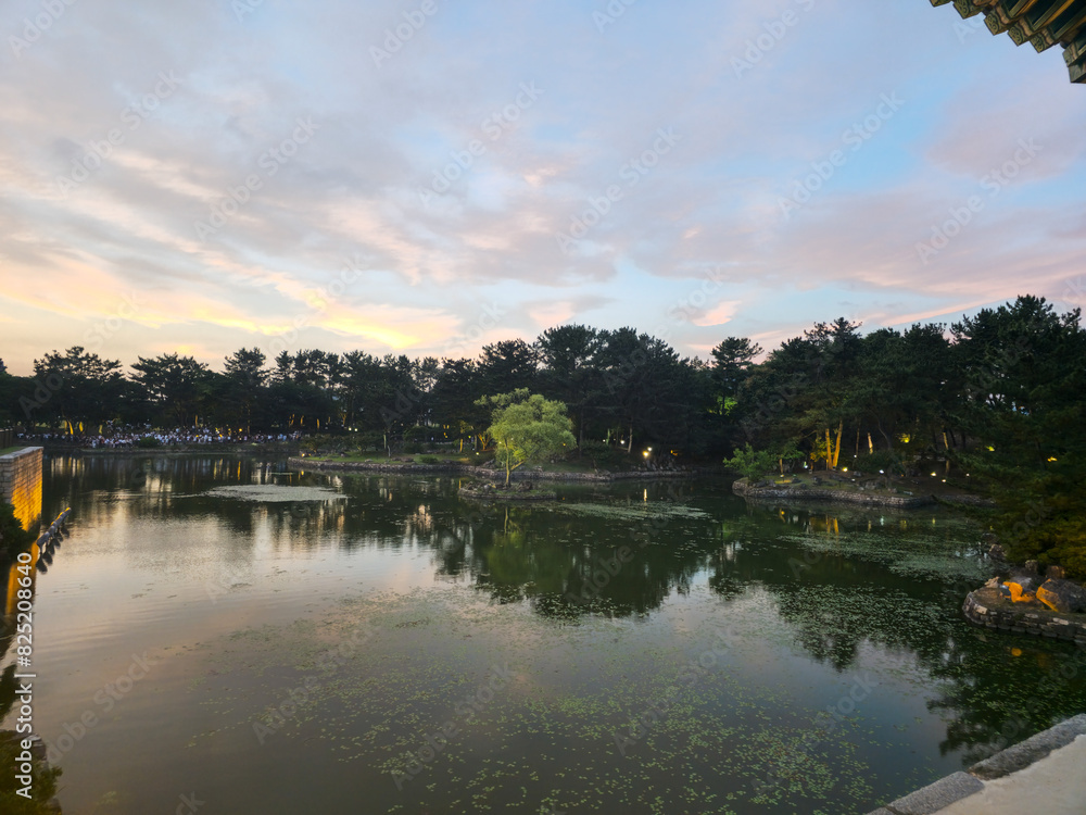 A pond with a tree in the middle and a lot of people around it. The sky is cloudy and the sun is setting A pond with a tree in the middle and a lot of people around it. The sky is cloudy and the sun is setting