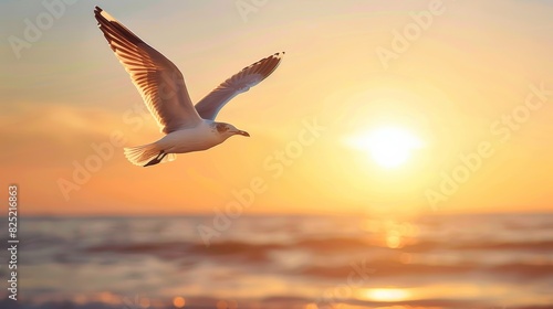 A bird soaring high in the sky, free and happy as the sun sets. © venusvi