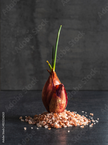 shallot and sea salt photo