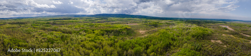 Aerial panoramic view of a large green forest with small marshes and a large hill in the distance. The sky is full of blueish gray clouds. 