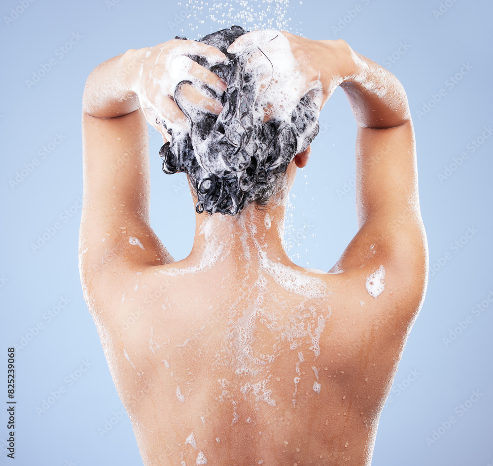 Girl, back and shampoo in studio for shower for hygiene, hair care and wellness for scalp or cleanliness with soap. Woman, isolated and blue background with water splash, refreshing and grooming. Girl, back and shampoo in studio for shower for hygiene, hair care and wellness for scalp or cleanliness with soap. Woman, isolated and blue background with water splash, refreshing and grooming.
