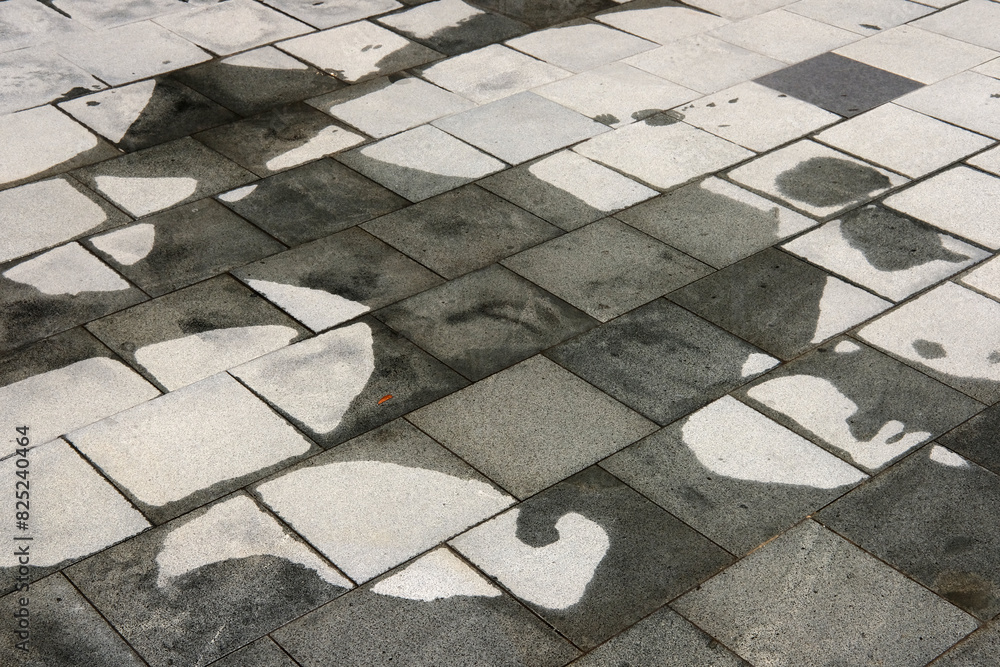 Fototapeta premium pavement