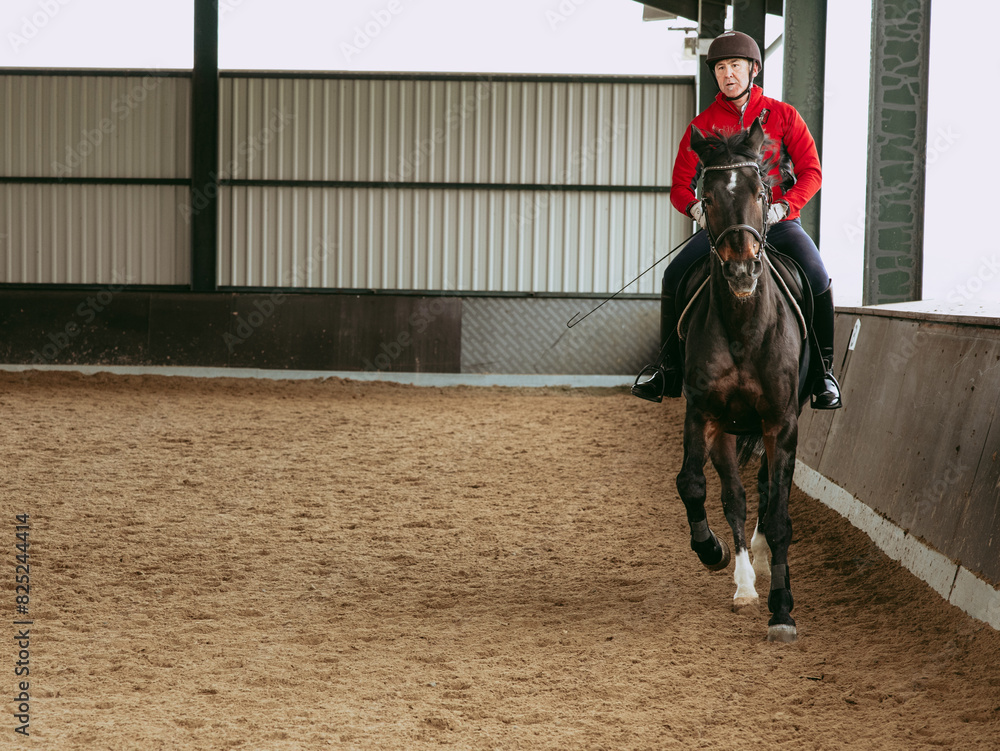 Rider training horse in equestrian club arena, copy space Rider training horse in equestrian club arena, copy space