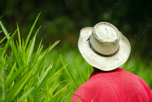 Portrait of a farmer with his back turned photo