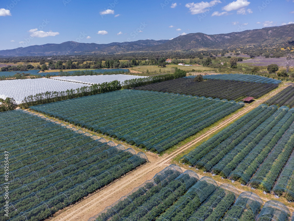 Φωτογραφία greenhouses for agricultural production, Sierra Morena, Aroche, Huelva, Andalusi