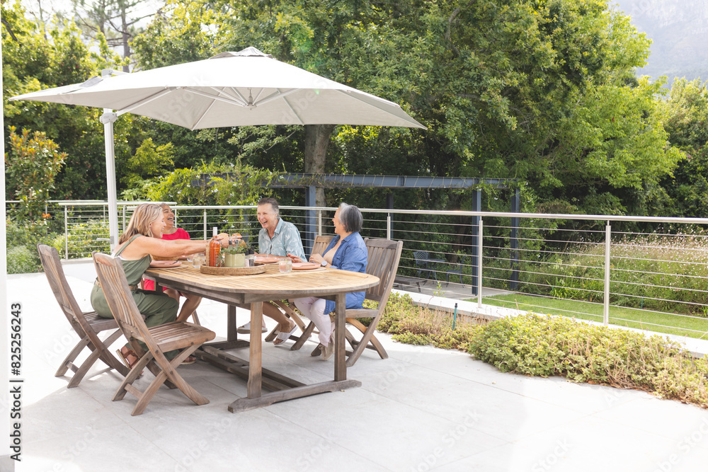 Obraz premium Diverse senior female friends enjoying meal outdoors, chatting happily, copy space