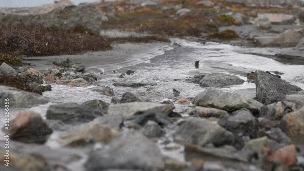 Close Up of Water Stream in Landscape of Greenland, Segelsällskapet Fjord Close Up of Water Stream in Landscape of Greenland, Segelsällskapet Fjord