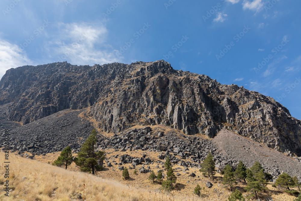 Rocky mountain with Ocote trees (Pinus montezumae) at the base