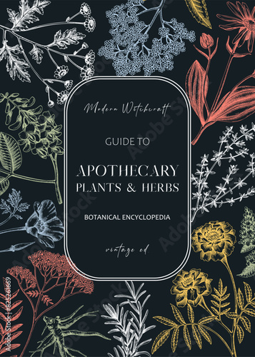Apothecary plant frame design. Witchcraft background. Herbal remedies, medicinal plant, witch herbs, natural medicine hand-drawn vector illustration. Vinatge card template. NOT AI genereted