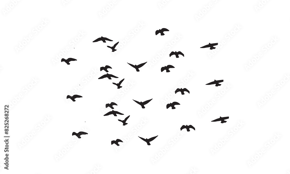Flying Birds Vector And Illustration. Flying Birds Vector And Illustration.
