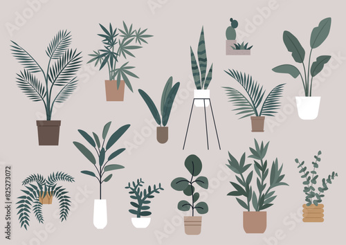 A curated assortment of indoor plants in various stylish pots showcases diverse textures, sizes, and types of foliage against a neutral background.