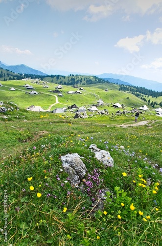 Velika Planina plateau in Slovenia with a view of shepherd's houses and a flower meadow