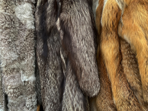 fur coats photo