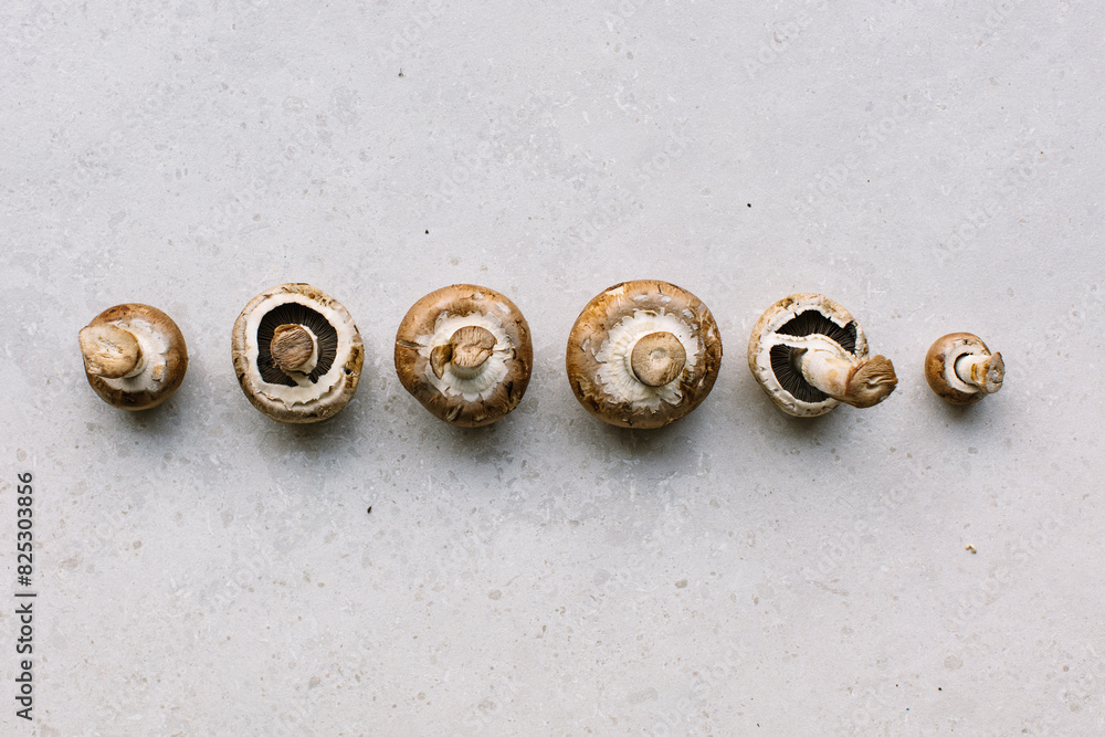 Rustic Mushroom Spread Rustic Mushroom Spread