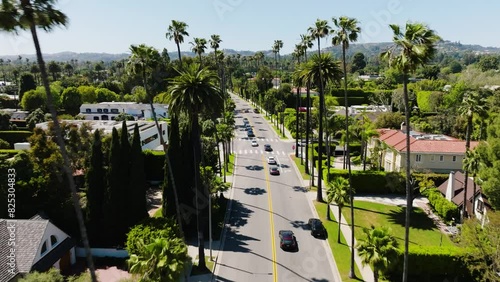 Beverly Hills Aerial 2024 - Flying low between palm trees and road #6