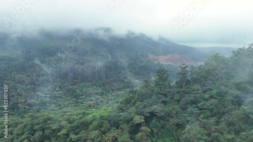 Drone shot of a forest in Durban, outside Pinetown. The drone passes by the mist of the clouds showcasing the beauty of the forest. photo