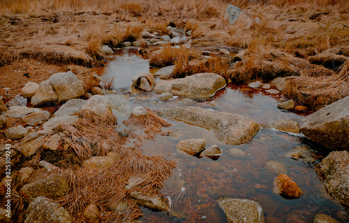 Rocks and Grass Around Stream