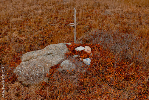 Sticks and Stones in Field