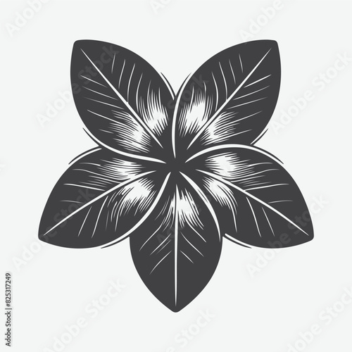 Captivating Plumeria Flower Silhouette, A Perfect Blend of Elegance and Simplicity