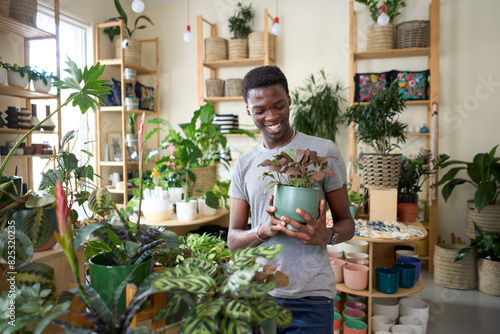 buying a house plant for home decor