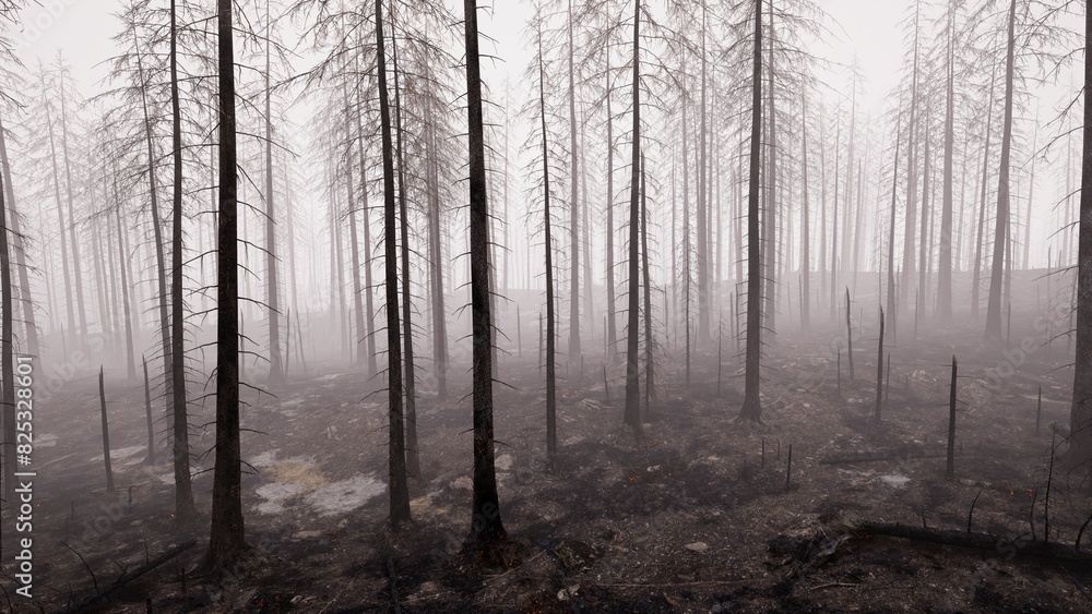 Forest fire Forest fire