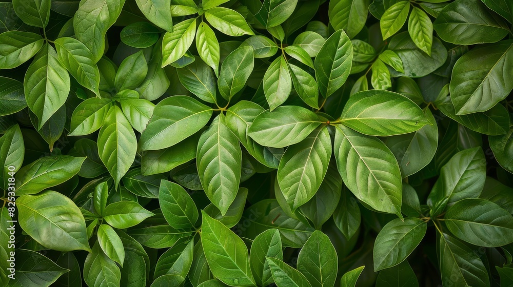 lush green foliage background verdant leaves texture for natureinspired designs lush green foliage background verdant leaves texture for natureinspired designs