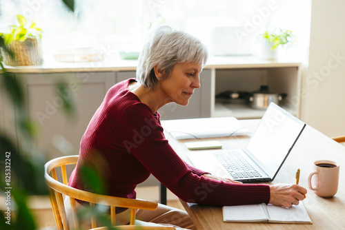 Grey haired mature woman working on laptop at home photo