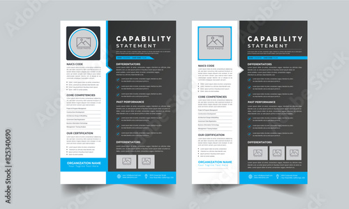 Capability Statement Colorful layout concept With 2 Style design template