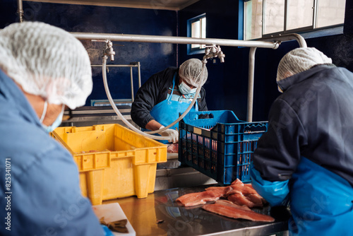 Small scale fish processing factory photo