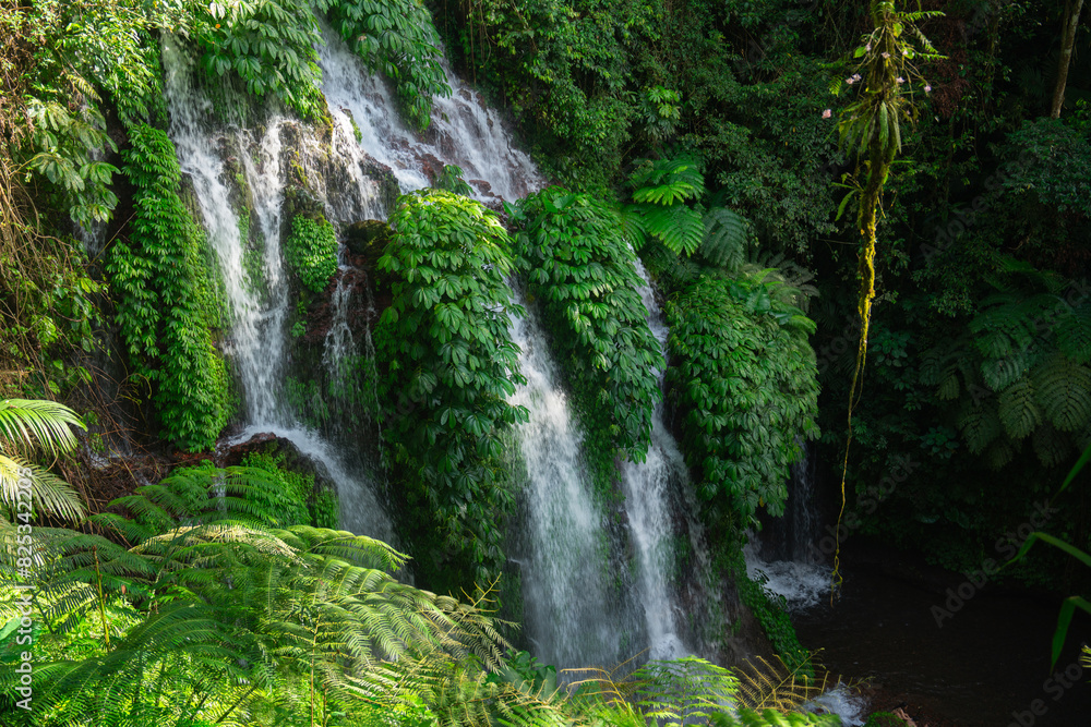 Idyllic tropical waterfall surrounded by lush foliage Idyllic tropical waterfall surrounded by lush foliage