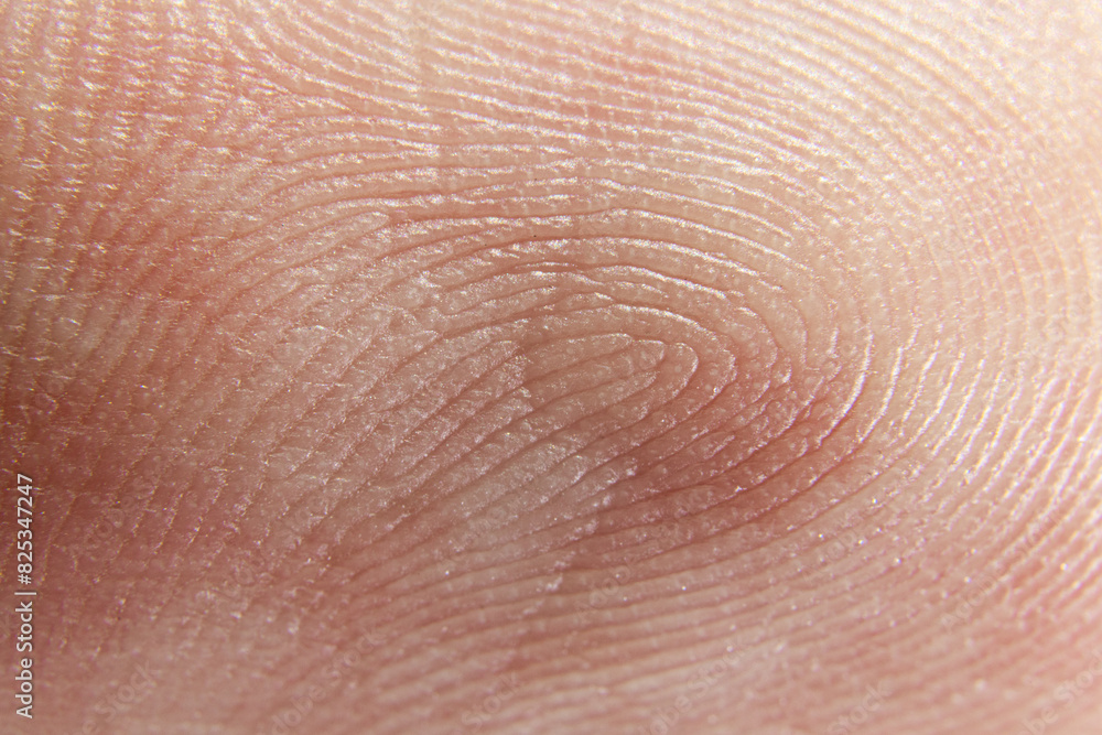 Fingerprint Macro PatternTexture Fingerprint Macro PatternTexture