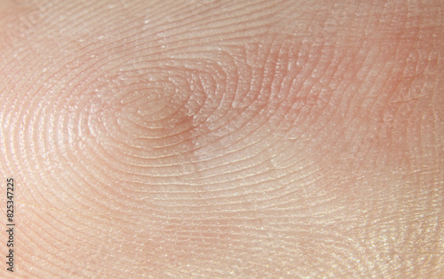 Unique Fingerprint Human Identification Texture