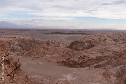 Valley And Oasis In Atacama Desert   photo