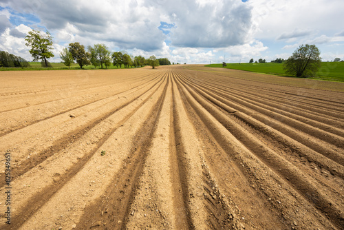 Plowed field with potato furrows and clouds on sky