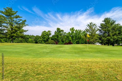 Golf Course Green Hole in One Flag