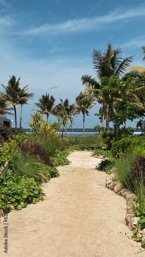 Pathway to Paradise. Tropical Beach Escape