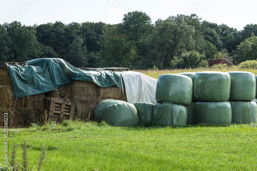 hay bales in plastic near a farm 