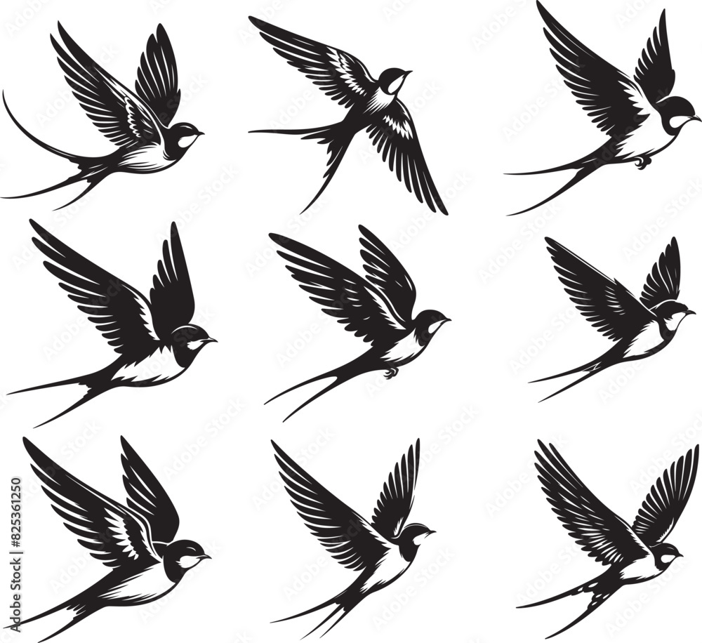 Bird swallow set vector illustration eps 10 Bird swallow set vector illustration eps 10