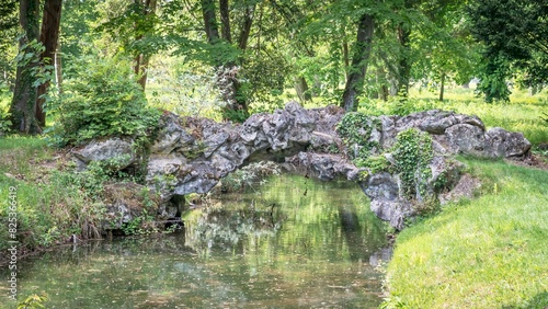 Scenic view of a tranquil pond in a green park on a sunny day