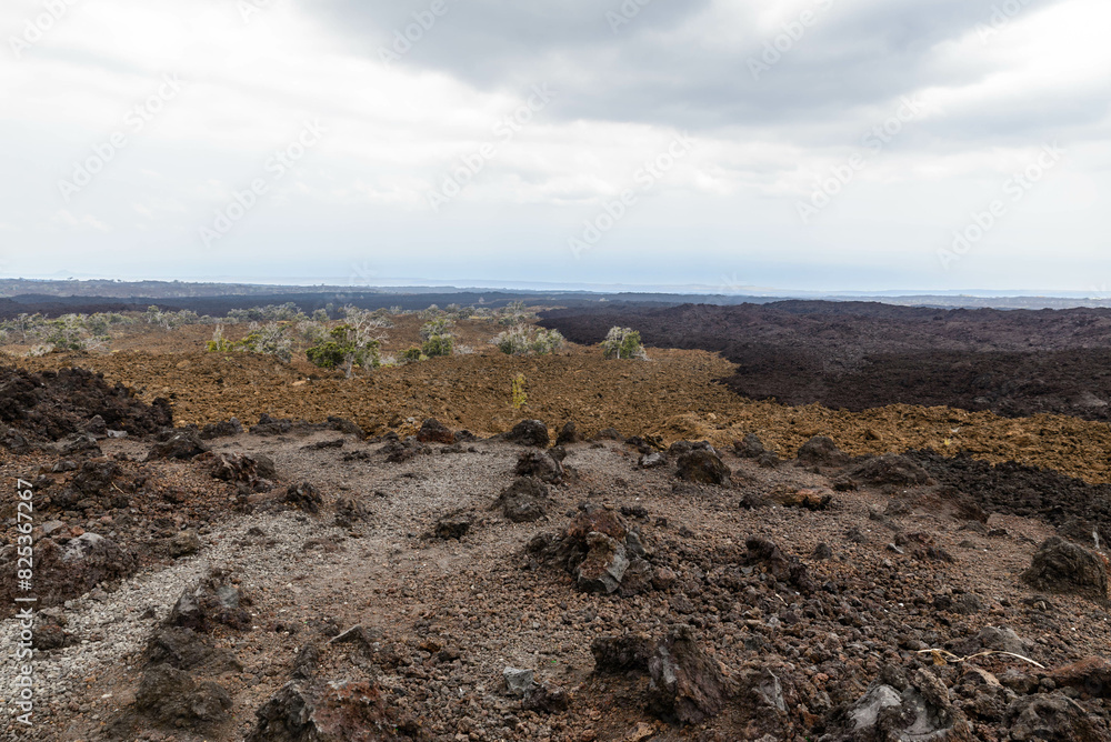 Old Lava field on Big Island Hawaii USA.