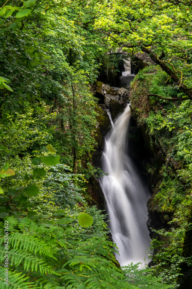 Serene forest setting with a charming waterfall Serene forest setting with a charming waterfall