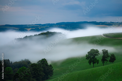 Serene Misty Hill
