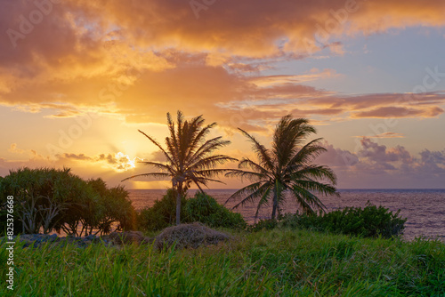 Scenic view of sunrise on the Island of Maui  Hawaii  US