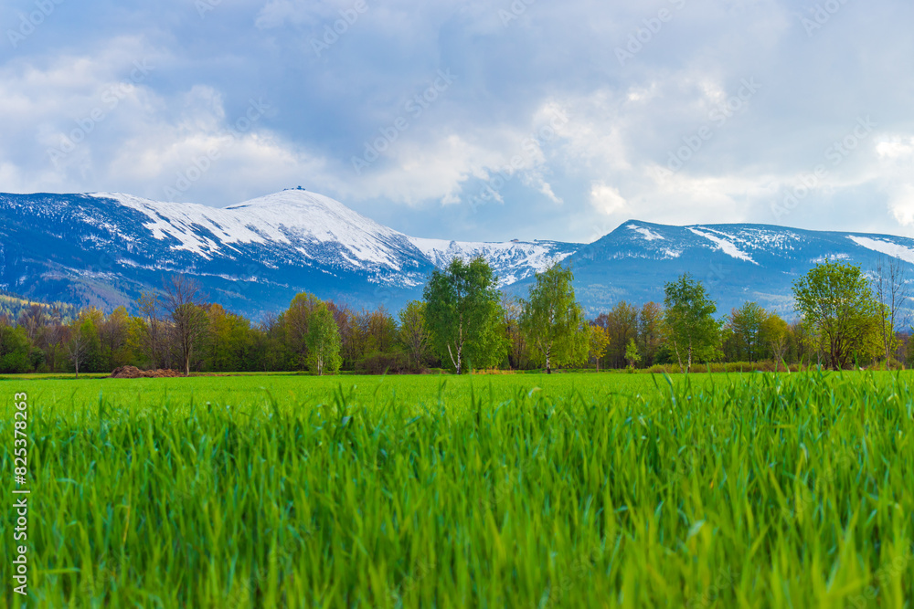 Wiosenny krajobraz Karkonoszy i zaśnieżona Śnieżka -  Dolny Śląsk