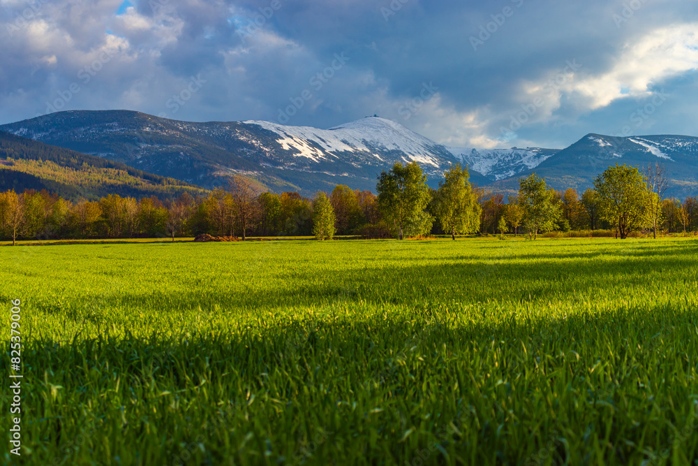 Fototapeta premium Spring Landscape in Karkonosze and Snowy Śnieżka - Lower Silesia