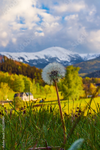 Wiosenne Dmuchańce z zaśnieżoną Śnieżką - Karkonosze, Dolny Śląsk